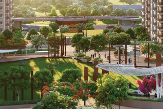 Landscaped Garden